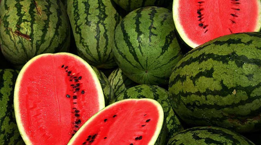 Water melon