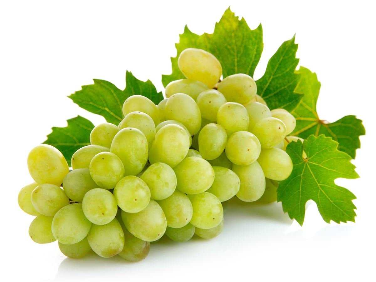 Grapes Makri