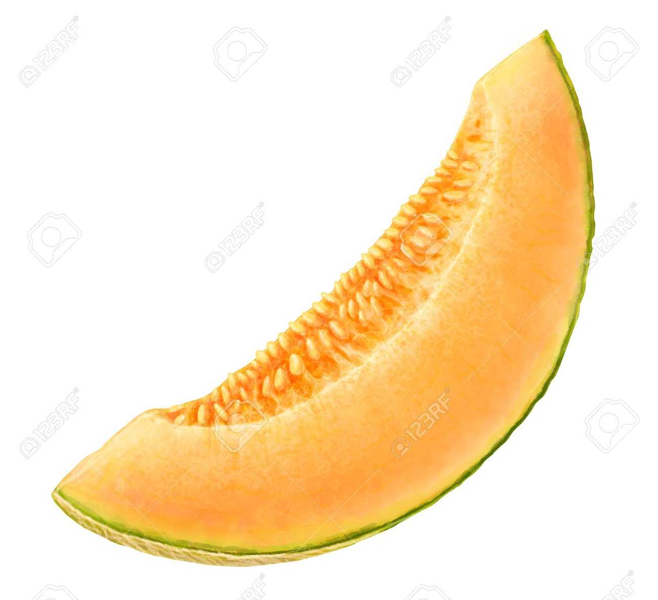 Melon Slice