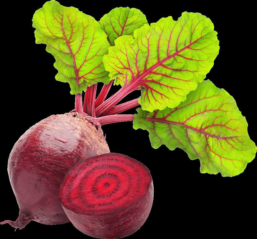 Beetroot