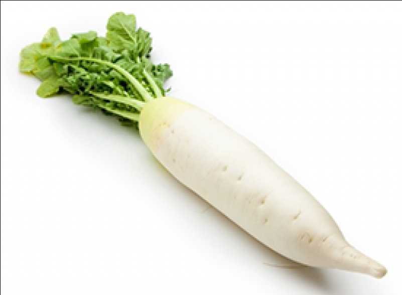 Radish