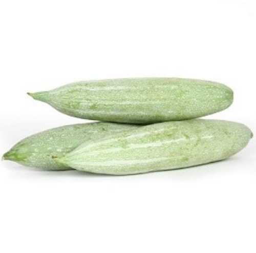 Snake Gourd