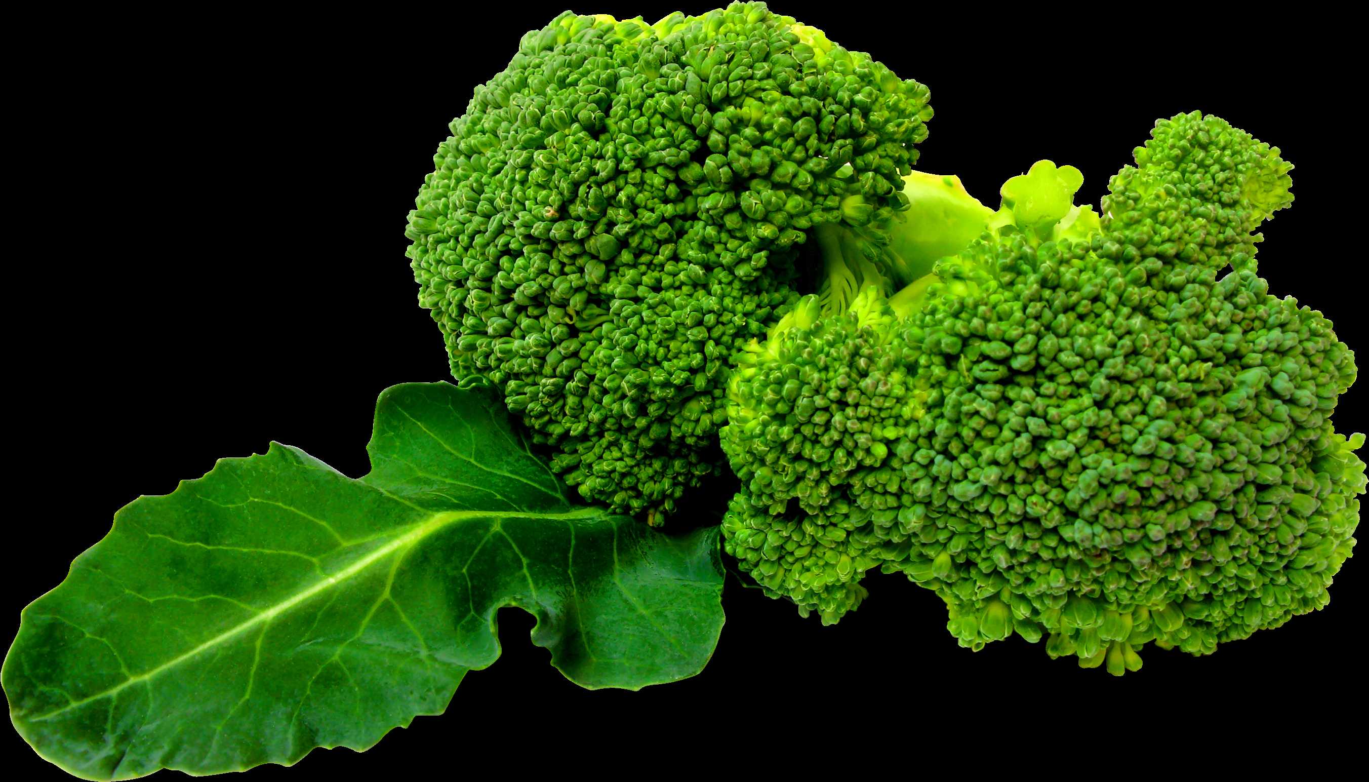 Broccoli