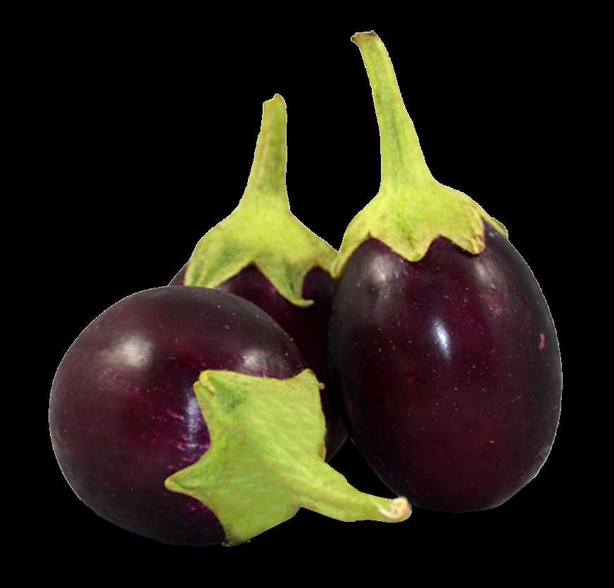 Brinjal