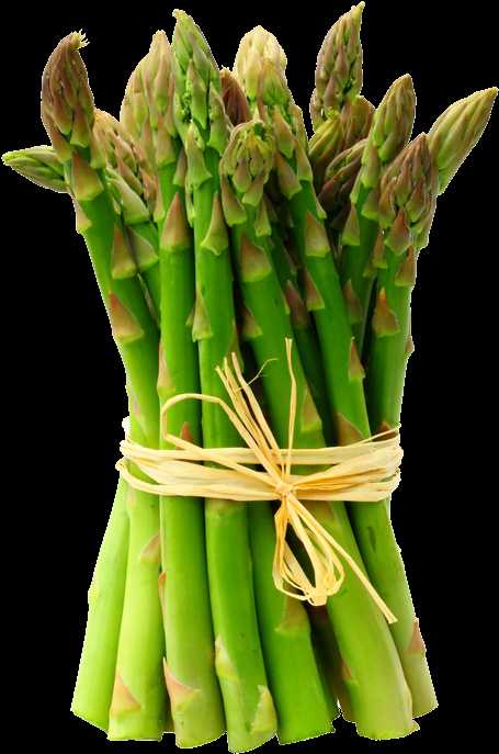 Asparagus