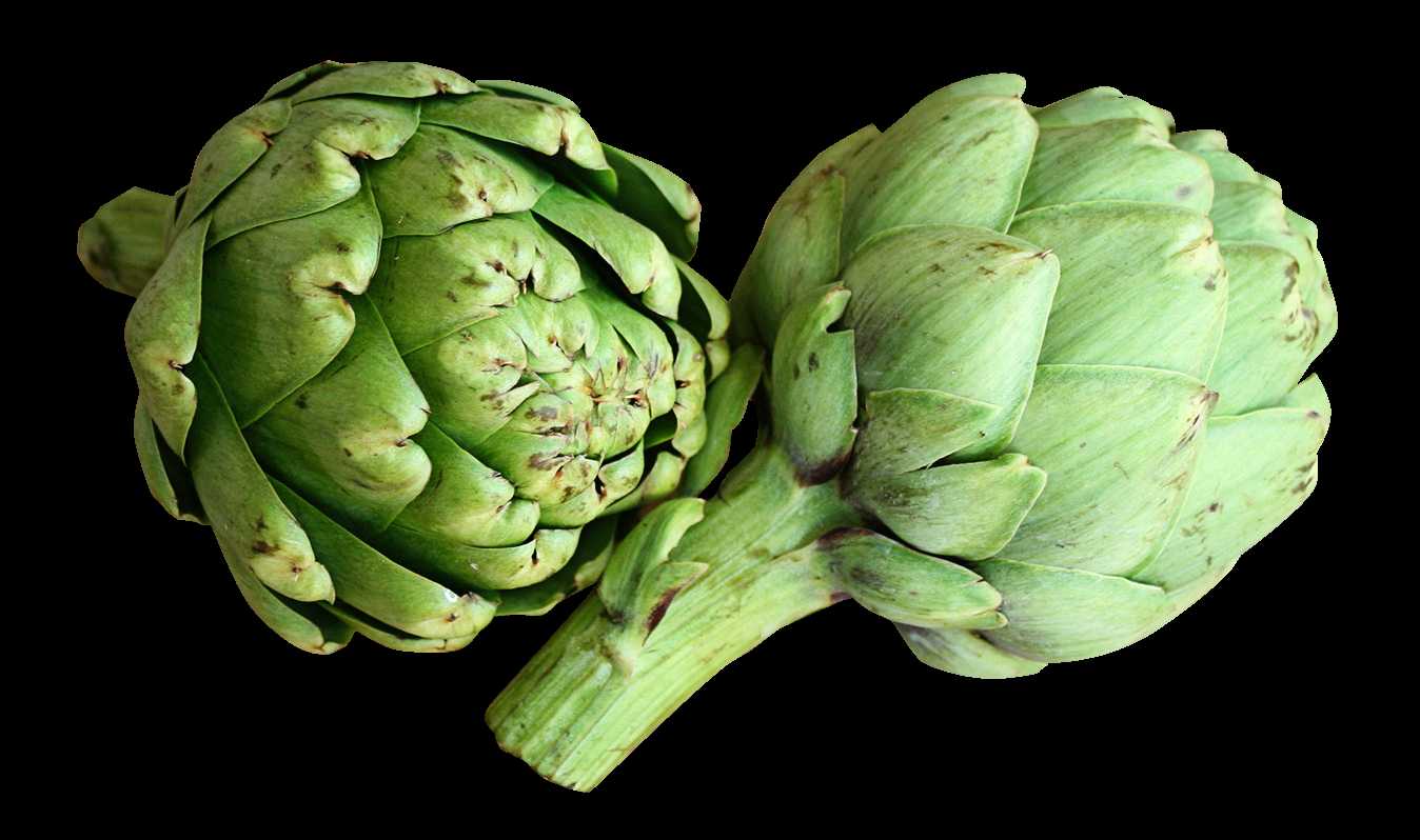 Artichoke