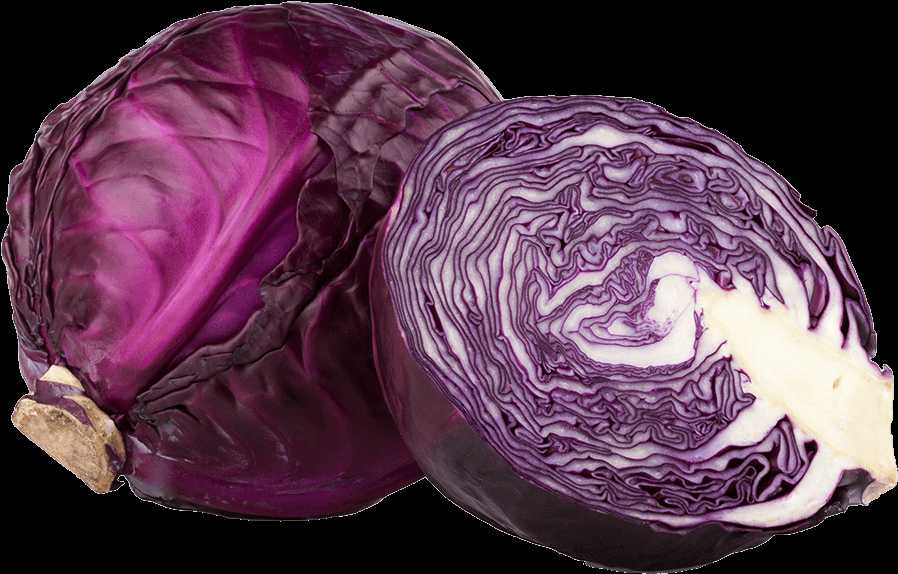 Red Cabbage