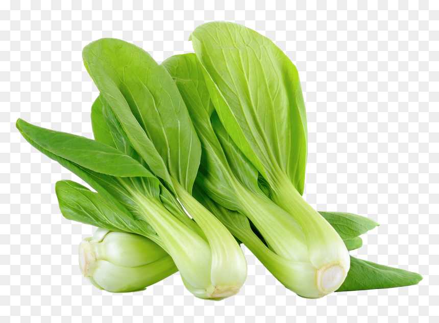 Bok Choy