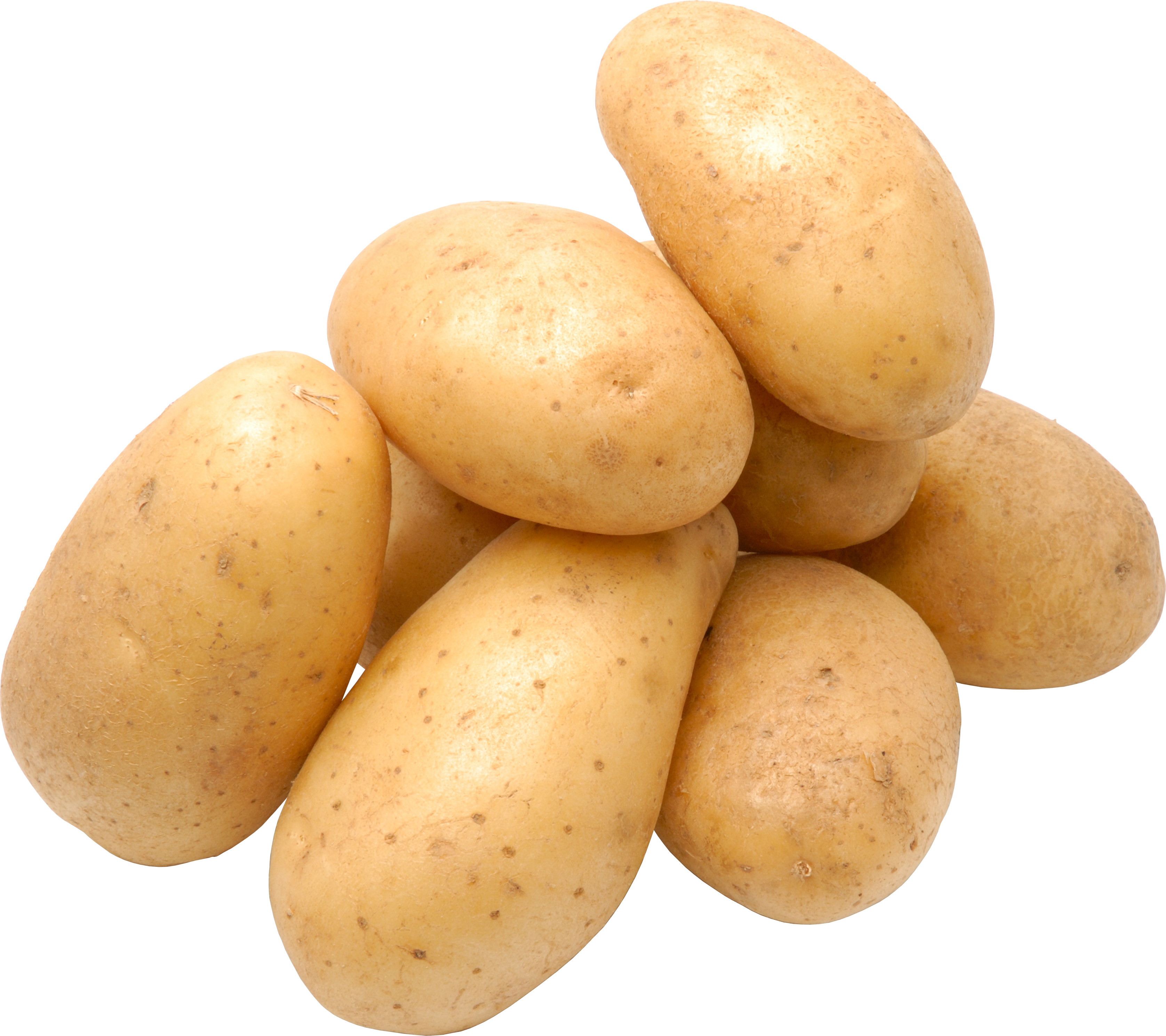 Potato