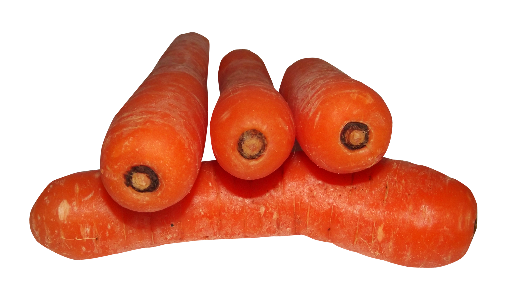 Carrot