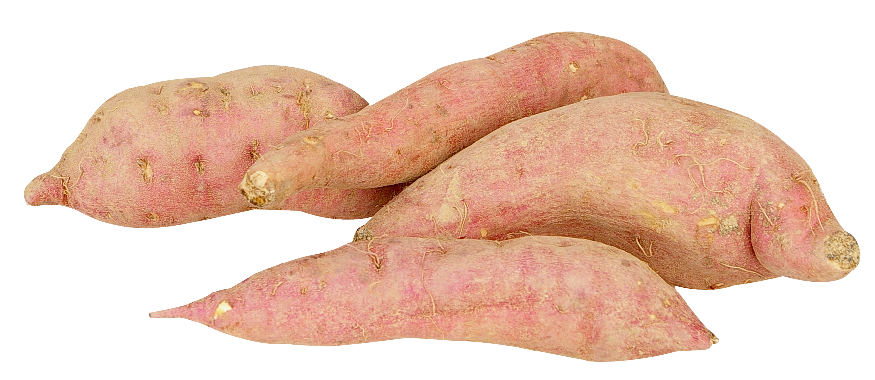 Sweet Potato