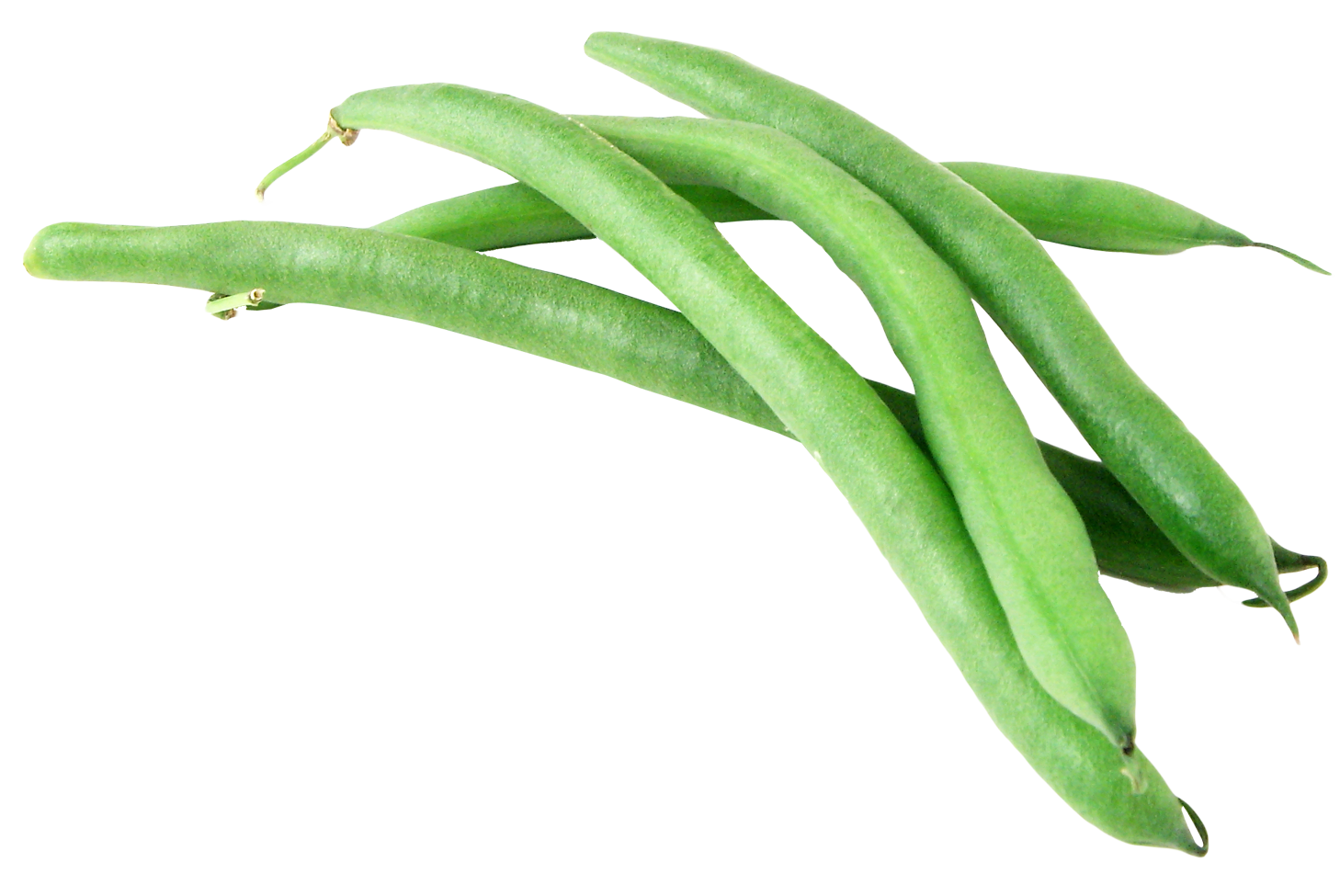 Green beans are eaten around the world and are sold fresh, canned, and froz...