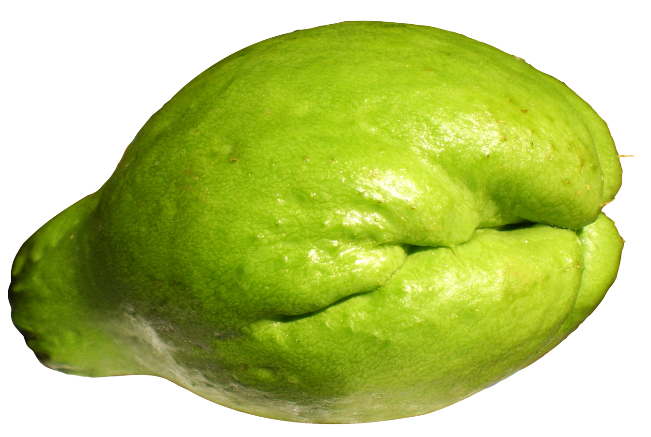 Chayote