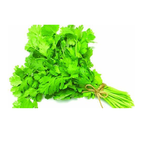 Coriander Leaves