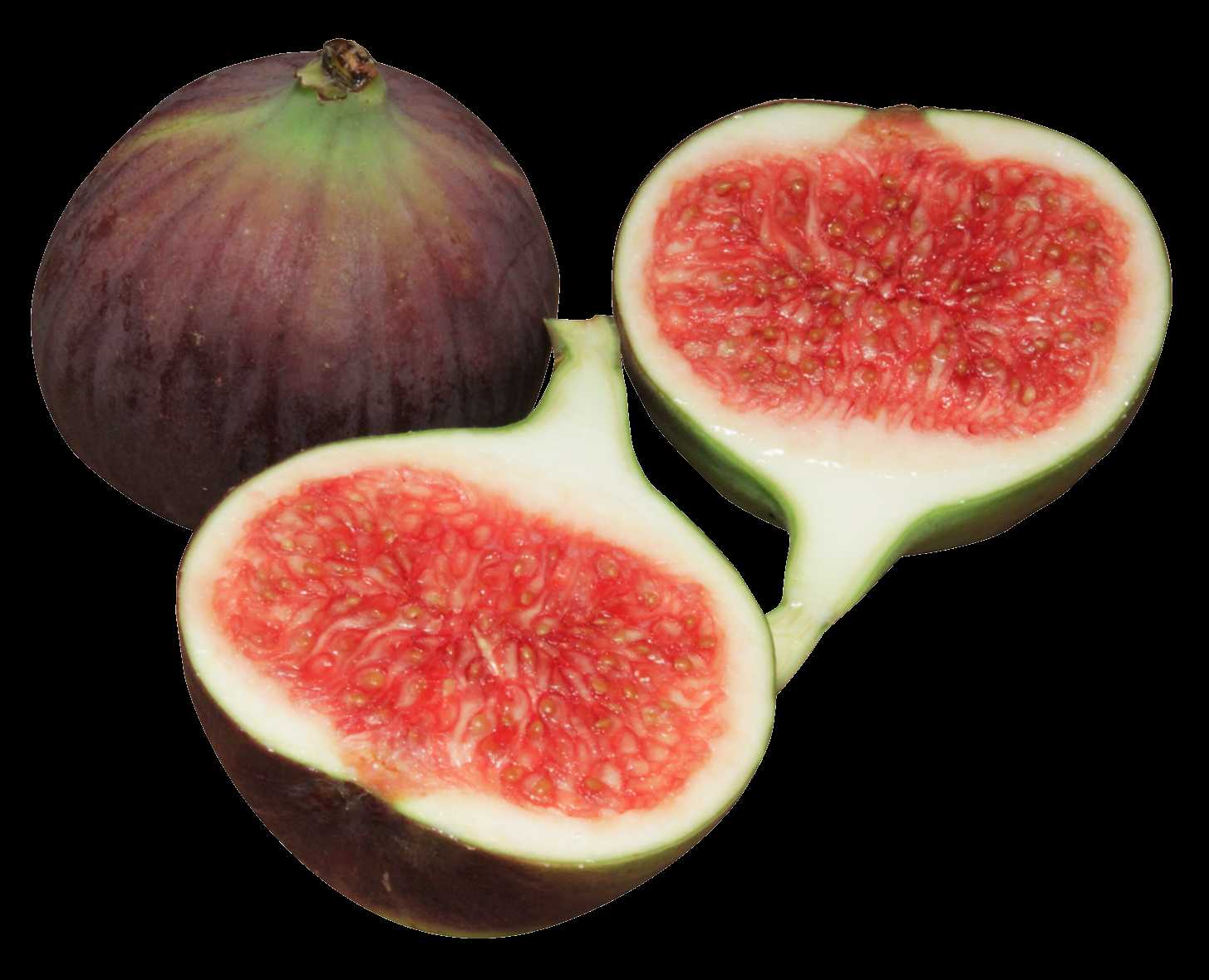 Fig