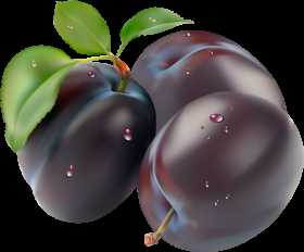 Black Plum